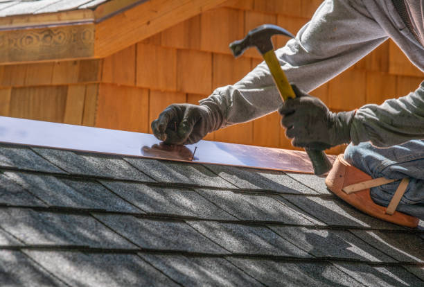 Best Gutter Installation and Repair  in Cibecue, AZ