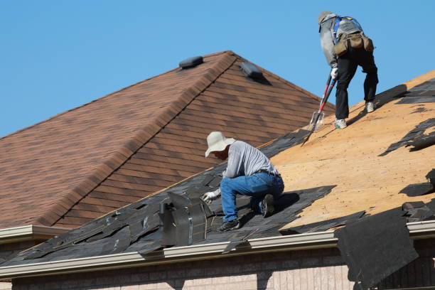 Best Roof Moss and Algae Removal  in Cibecue, AZ