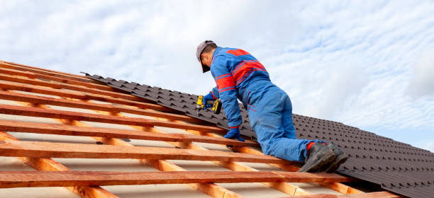 Best Roof Insulation Installation  in Cibecue, AZ